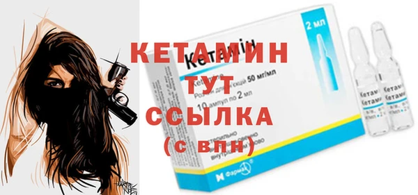 гидра Гусиноозёрск