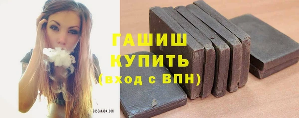 гидра Гусиноозёрск