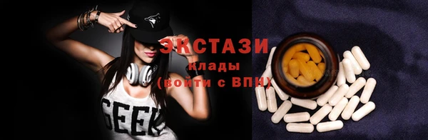 гидра Гусиноозёрск
