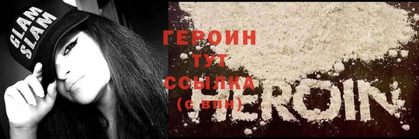 гидра Гусиноозёрск