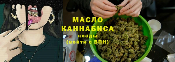 гидра Гусиноозёрск